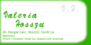 valeria hosszu business card